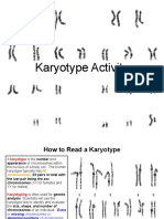 Karyotype Activity Slide Show