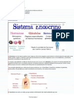 Apuntes Introducción Sistema Endocrino