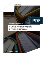 Aula 14 - O Que É Norma-Padrão e Como Funciona