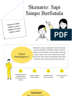 Sapi Simpo Berfistula.