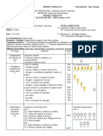 PROIECT DIDACTIC Clasa a I-a B - Marincean Roxana