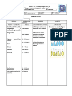 Plan Operativo Geometria