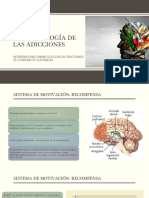 Etiopatogenia de Las Adicciones - Parte 1