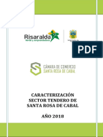 Caracterización Sector Tendero