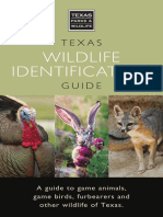 Texas Wildlife