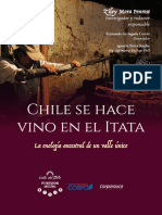 Chile Se Hace Vino en El Itata