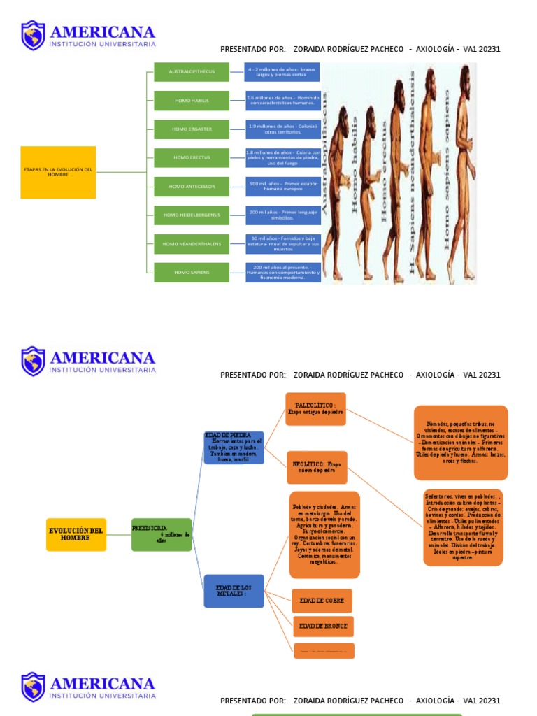 Mapa Conceptual Evolución Del Hombre | PDF | Homo | Homo Sapiens