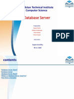 Database Sever Report