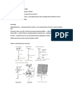 Células Neurogliales o Neuroglia