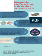 Infografía