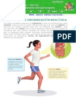 Niveles de Organizaci (On Biologica 1° Sec