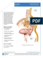 Cauda Equina Syndrome CEUS