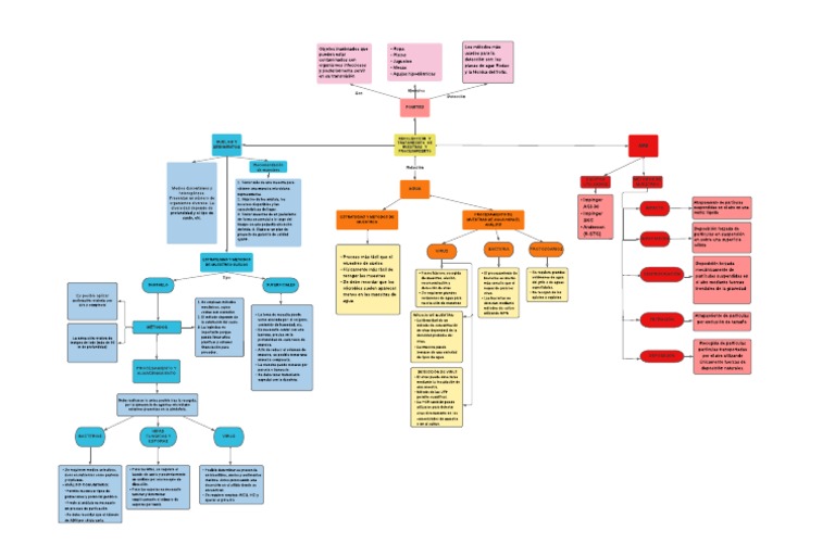 Ccaico Atoccsa - Mapa Conceptual | PDF | Agua | Virus