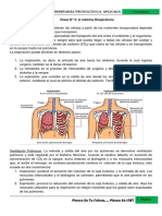 Clase N°3 Sistema Respiratorio