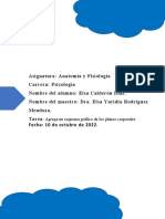 Esquema Gráfico de Los Planos Corporales