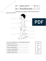 Actividades y Guias Grado 201 Segundo Periodo (Recuperado Automáticamente)