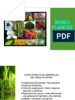 Clase 4.1 Plantae Generalidades