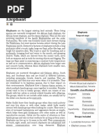 Elephant | PDF