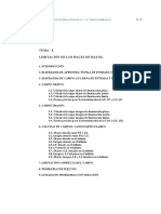 Manual Òptica Geométrica (J.V.Santos) 10 Limitacion de Haces de Rayos