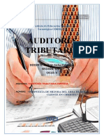 Proyecto Auditoria Tributaria - g5fn