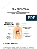 Sistema Endocrino