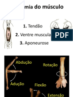 Artrologia e Miologia (3)