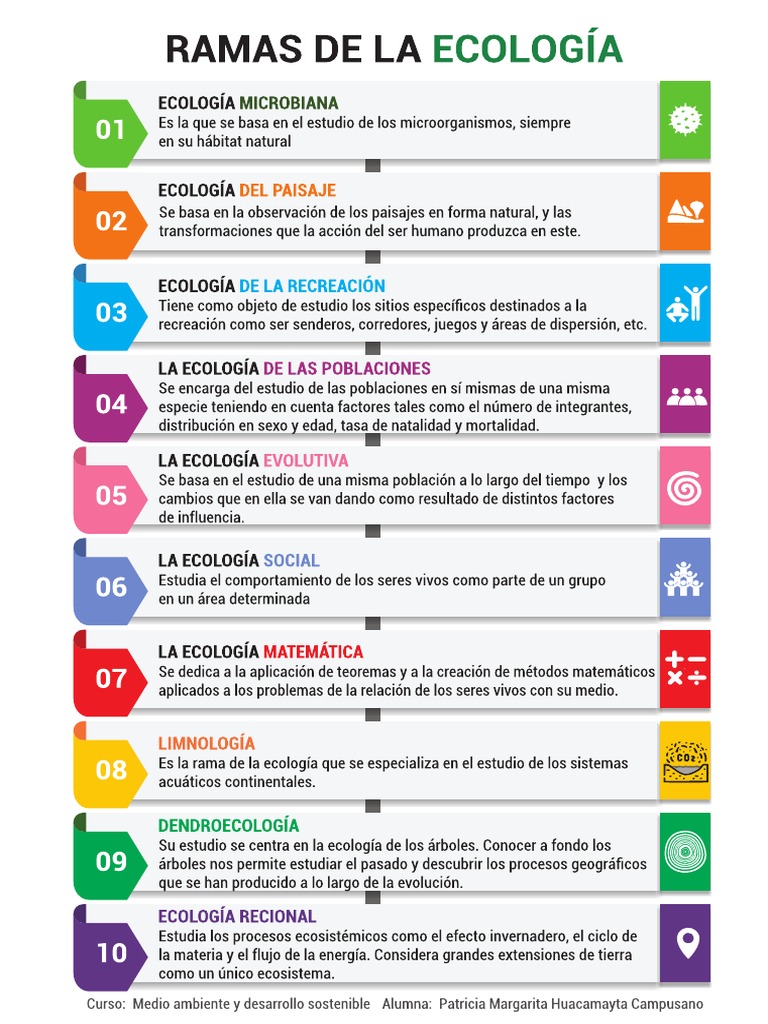 Organizador Visual Ramas Ecología | PDF