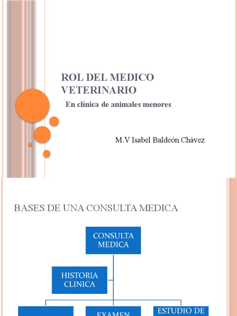 Rol Del Medico Veterinario en ANIMALES MENORES | PDF | Historial médico ...