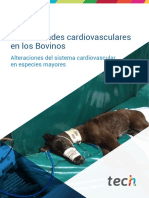 Enfermedades Cardiovasculares en Los Bovinos