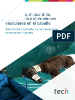 Pericarditis, Miocarditis, Endocarditis y Alteraciones Vasculares