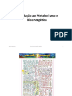 Introducao Ao Metabolismo e Introducao e Bioenergetica 16-17