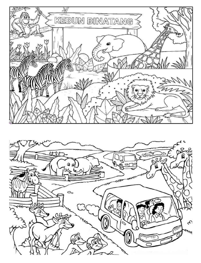 Zoo Coloring | PDF