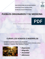 Pueblos Originarios y Su Medicina