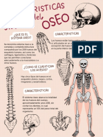 Sistema Oseo