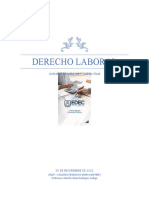 Derecho Laboral - Actividad Integradora - Trabajo Final