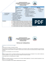 Tipos de Formatos