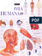 Resumo Anatomia Humana Atlas Visuais Varios Autores
