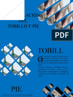 Articulacion de Tobillo y Pie