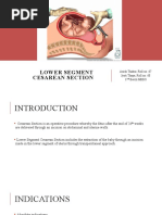 B - Lynch | PDF | Uterus | Surgical Suture
