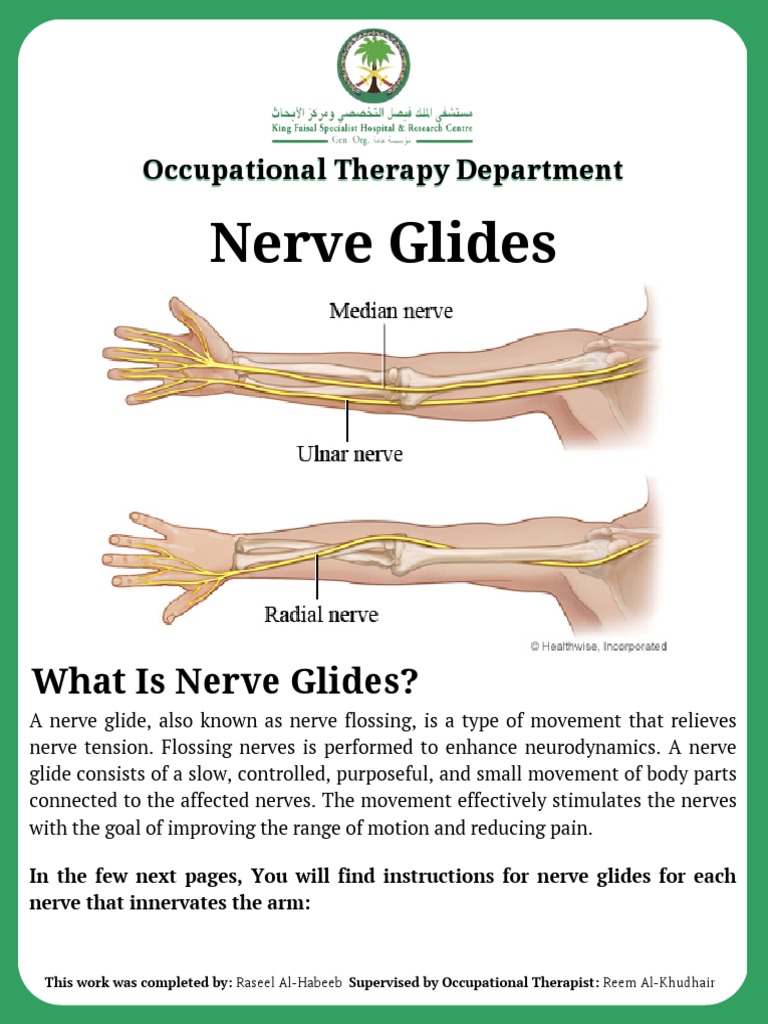 Nerve Glides English Version PDF