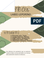 GRUPO 2 - Labio Leporino
