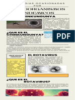 Infografia de Patologias