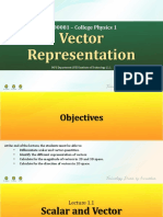 STPPT1 Vector Representation