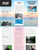 Tríptico sobre el Cuidado del Agua | PDF | Agua | Baño