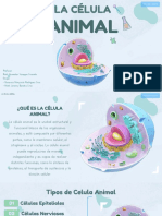 Cta - La Celula Animal PDF