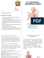 Folleto Díptico para Deporte Fitness Gimnasios Ofertas de Matrículas Vibrante y Enérgico Verde y Negro