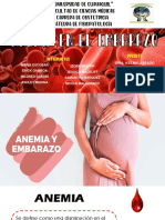 Fisiopatología de Anemia en El Embarazo