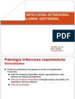 Columna Intradural Infecciones