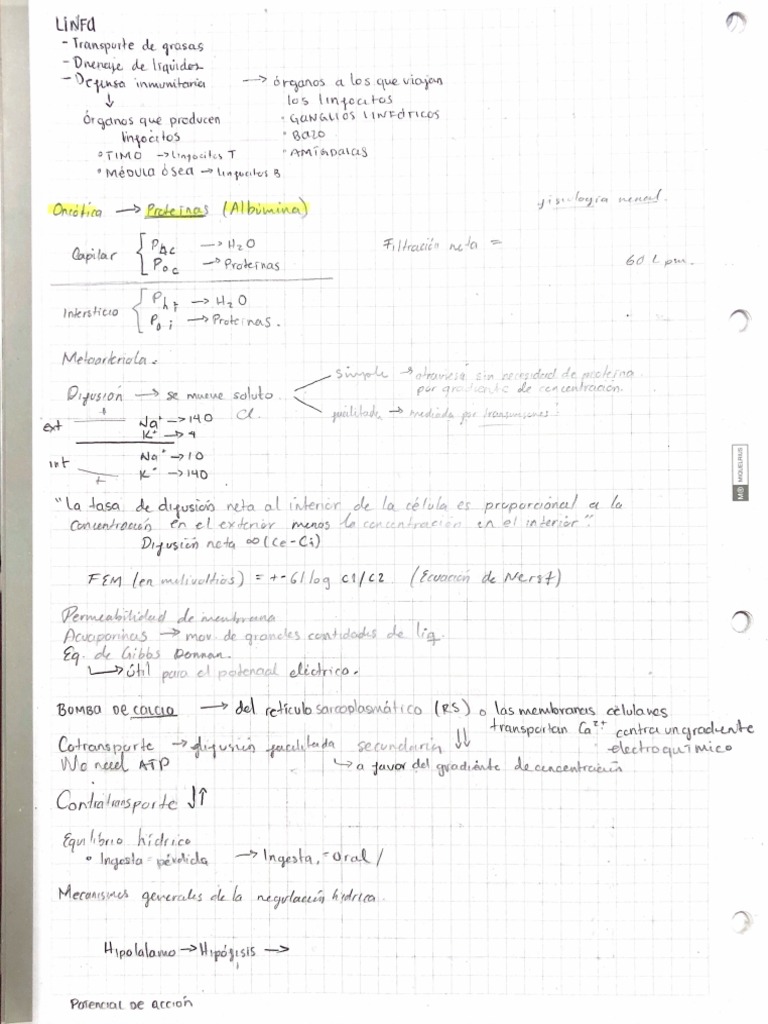 Fisio 2 | PDF