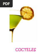 Download Manual de Cocteles by Lucero Fuentes SN64723011 doc pdf